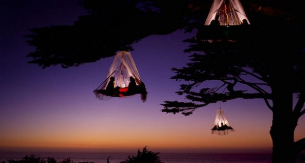 treecamping